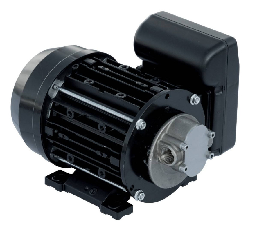 Pompa cu angrenaj Garda PIUSI NMT450006