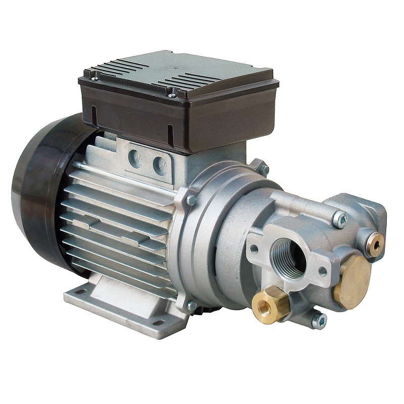 Pompa transfer ulei cu roti dintate Viscomat Gear 220V PIUSI